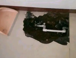 宣化卫生间测漏水多少钱